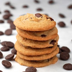 Chewy Chocolate Chip Cookies - Recipe photo by dbrush