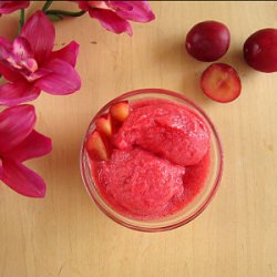 Rosemary Gin Sorbet - Recipe photo by SaborEats