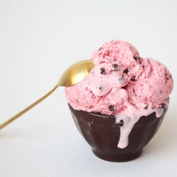 Strawberry Chocolate Chip Ice Cream - Recipe photo by Miss Renaissance