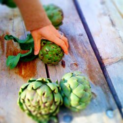 Roman Style Artichokes - Recipe photo by Alessandra Zecchini