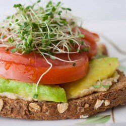 Open-Faced Hummus and Veg. Sandwich - Recipe photo by theroadnotprocessed