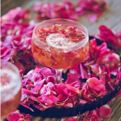 Rose petals champagne jelly - Recipe photo by atria