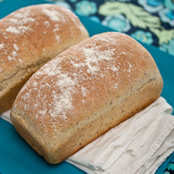 Seed Bread - Recipe photo by flourarrangements
