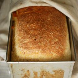 Zucchini Cheese Loaf - Recipe photo by veggiechick