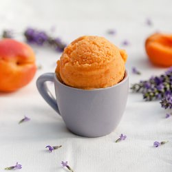 Apricot Lavender Sorbet - Recipe photo by NowimaCook