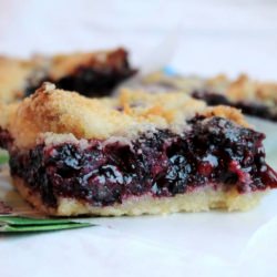 Blueberry Lime Crumb Bars - Recipe photo by frugalfoodiefamily