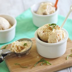 Peach Frozen Yogurt - Recipe photo by Running to the Kitchen