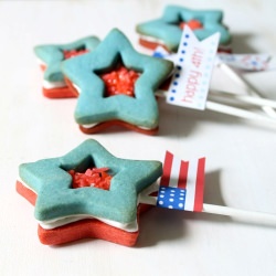 Pop Star Cookie Pops - Recipe photo by chic cookies