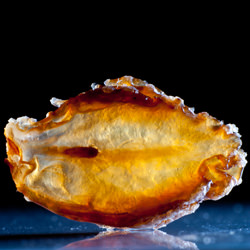 macrophotography - Recipe photo by Buntworthy