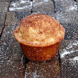 Cinnamon Sugar Doughnut Muffins - Recipe photo by justbaked