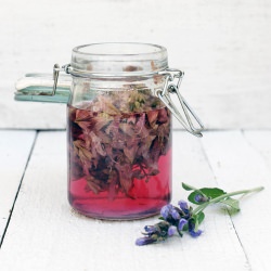 Sage Blossom Vinegar - Recipe photo by FamilySpice