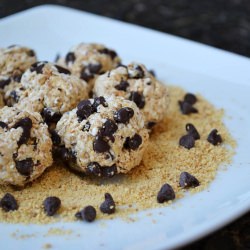 S'mores Oatmeal Bites - Recipe photo by lbbakes