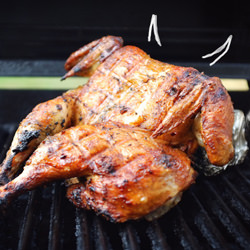 Pollo Al Diavolo, Devil's Chicken - Recipe photo by ptuorto