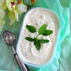 Mentha Stracciatela Gelato - Recipe photo by SaborEats