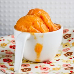 Refreshing Apricot Sorbet - Recipe photo by nami-nami