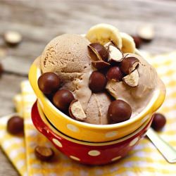 Chocolate Malt Banana Ice Cream - Recipe photo by afarmgirlsdabbles