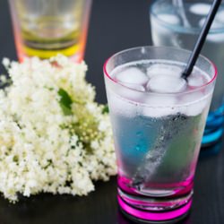 Elderflower Cordial - Recipe photo by peaches and donuts