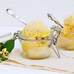 Apricot Sorbet with Honeysuckle - Recipe photo by FamilySpice