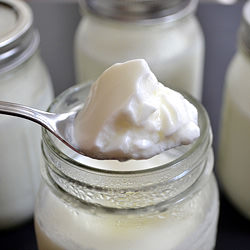 Homemade Yogurt - Recipe photo by budgetbytes