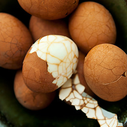 Chinese Tea Eggs - Recipe photo by kaweah