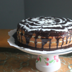 Boston Cream Pie - Recipe photo by mysweetfrostings