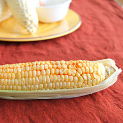 Spicy corn on the cob - Recipe photo by Anu