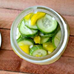 Homemade Pickles - Recipe photo by claireg