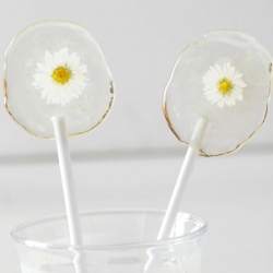 DIY Daisy Lollipops - Recipe photo by Intimateweddings