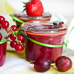berry mustards - Recipe photo by culinary pixel