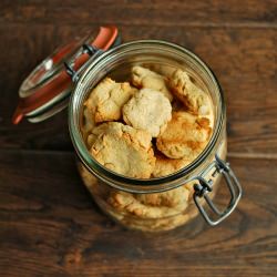 Coconut Dog Cookies - Recipe photo by drumbeets