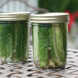 Dill Pickles - Recipe photo by dawnkl