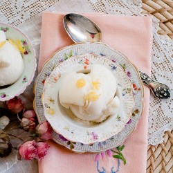 Lemonade Frozen Yogurt - Recipe photo by A Muse in The Kitchen