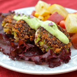 Zucchini Cakes - Recipe photo by digioral