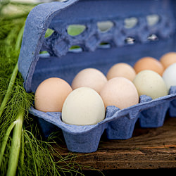 Farmers' Markets & Photography - Recipe photo by House Of Joyful Noise