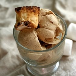 Toasted Marshmallow Ice Cream - Recipe photo by clockworklemon