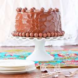 Chocolate Malt Layer Cake - Recipe photo by Mis-Cakes