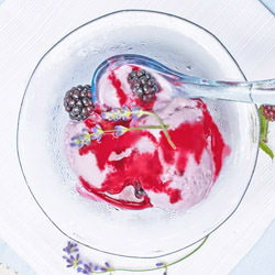 Bkackberry Sauce & Ice Cream - Recipe photo by nancy baggett-kitchenlane