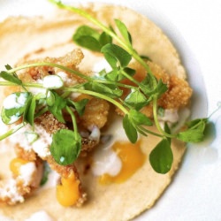 Calamari Taco - Recipe photo by theyumyumfactor