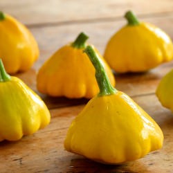 Roasted Patty Pan Squash - Recipe photo by dbrush