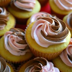 vanilla cupcakes - Recipe photo by mirandabowman