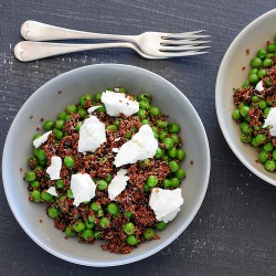 Warm sprouted quinoa salad - Recipe photo by jules_stonesoup