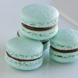 kahlua french macarons - Recipe photo by mirandabowman