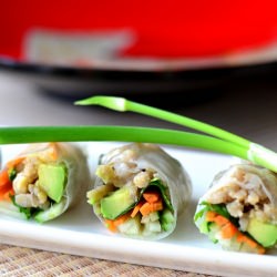Vietnamese Rice Rolls - Recipe photo by Esther@thefussfreechef