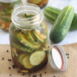 Homemade Pickles - Recipe photo by Running to the Kitchen