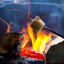 how to toast - Recipe photo by stephchows