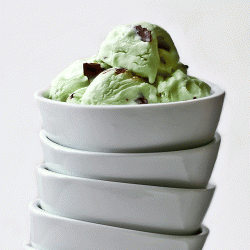 Mint Chocolate Ice Cream - Recipe photo by adishsoup