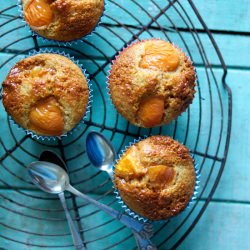 Apricot Muffins - Recipe photo by Ditsen