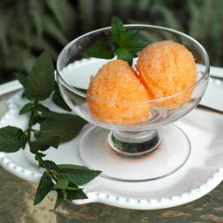 Aperol Granita - Recipe photo by savoringtimeinthekitchen