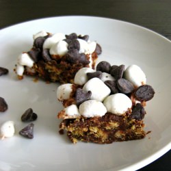 S'mores Bars - Recipe photo by evabakes