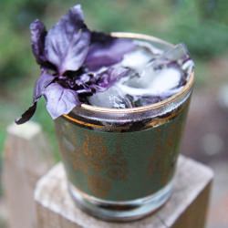 Basil Juleps - Recipe photo by davidtornado